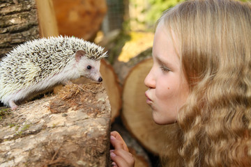 little girl with her pet African pygmy hedgehog