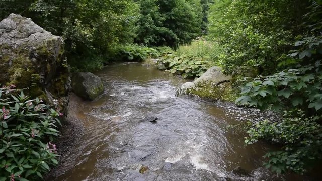 Steinach in der Steinachklamm bei Wildenstein