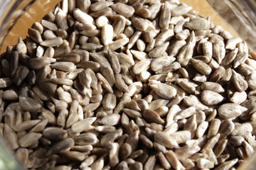 sonnenblumenkerne