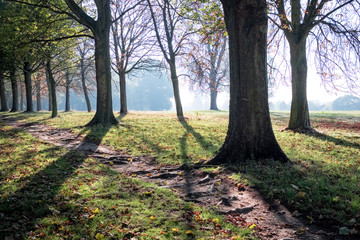 Autumn