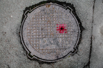 Obraz na płótnie Canvas Manhole cover in the road of asphalt