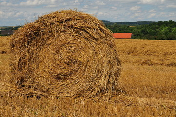hay bales in autumn at harvest time