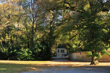 Park im Herbst mit Haus