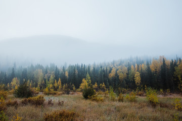 foggy autumn morning in the mountains