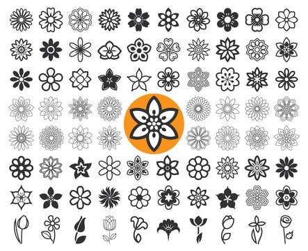 Set Of Flower Icons And Floral Guilloche. Floriculture Symbols. Vector Illustration.