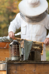 Imker beim kontrollieren der Bienen im Herbst