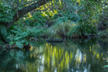 Landscape, river on the mountains