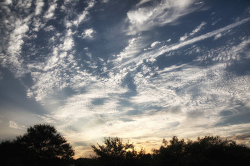 Obraz premium Messy wispy clouds