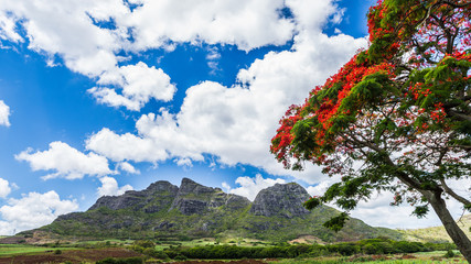 Fototapeta premium Beautiful mountain landscapes of Mauritius island with famous 