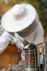 Imker beim kontrollieren der Bienen im Herbst