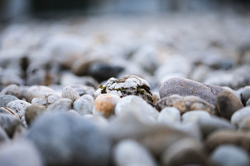 Macro-stone