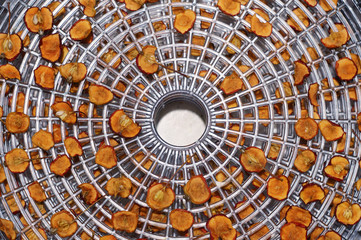 Sliced apples are dried in a dehydrator