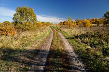 Autumn landscape background. Empty country road in sunny day