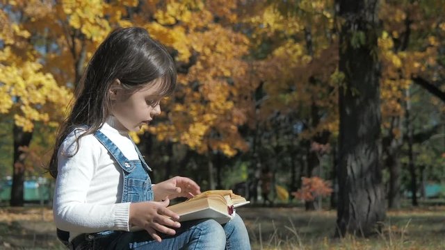 A child in a book in nature. Little girl is reading a book in the autumn park.