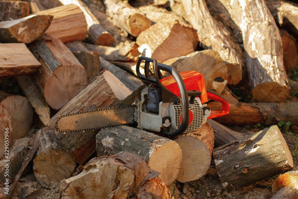 Wall mural axe in stump. axe ready for cutting timber.woodworking tool. lumberjack axe in wood, chopping timber