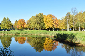 Autumn forest, yellow trees near the lake, blue sky
