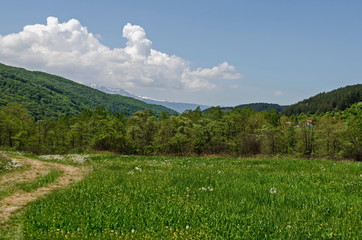 Springtime green forest, glade and valley among Lozen mountain, Plana mountain and snowy Vitosha mountain near to Pasarel village, Bulgaria