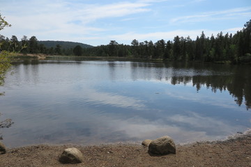 lake in forest