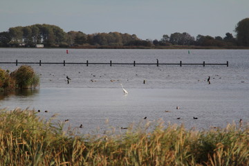 Küstengebiet in Holland