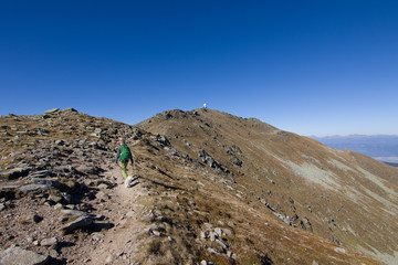  Young woman with dog on a sunny day hiking in high mountains