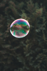 soap bubble on green background