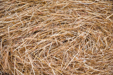 Storage with piles of stacks of hay