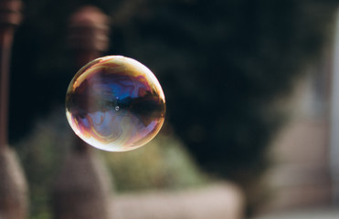 soap bubble on green background