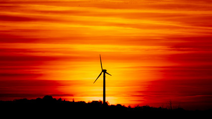 Obraz premium Sonnenuntergang hinter der Windmühle