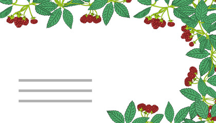 Summer templates with berries.Template for your design, greeting cards, festive announcements.