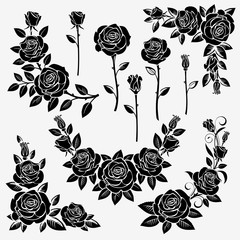 Collection of roses - obrazy, fototapety, plakaty