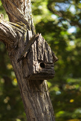 An old hand-made birdhouse on a tree