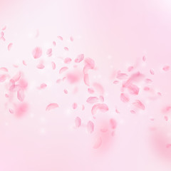 Sakura petals falling down. Romantic pink flowers 