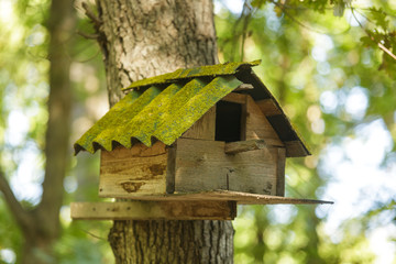 An old hand-made birdhouse on a tree