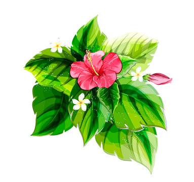 Tropical plants with hibiscus.

