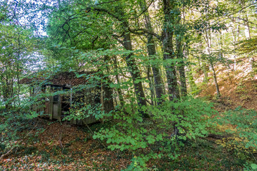 Kaputte H&uuml;tte im Wald