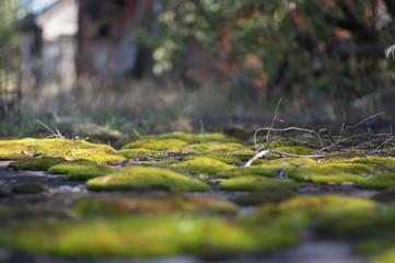 Kernkraftwerk Tschernobyl Ukraine Prypjat Sperrzone Radioaktive Gefahrenzone