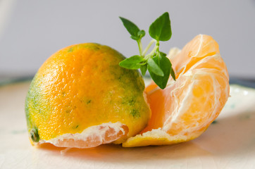 Fresh juicy fruits tangerine, clementine, citrus, with herbs thyme