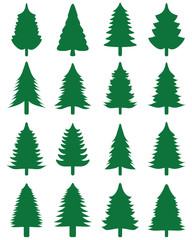 Green Christmas trees on a white background