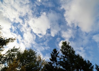 Obraz premium clouds