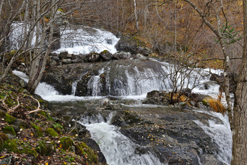 Norway river side in Autumn