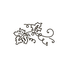 Vector Line icon. Grape leaves. One line drawing. Isolated on white background