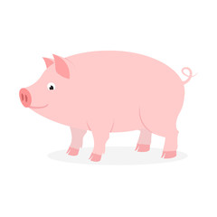 Pink pig with curly tail on white background.