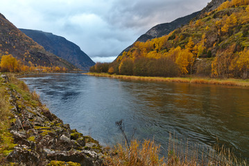 Fototapeta na wymiar Norway river side in Autumn