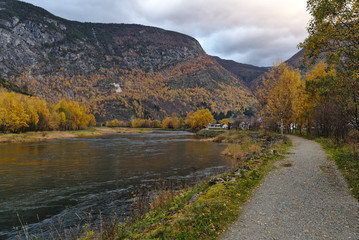 Obraz premium Norway river side in Autumn