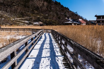 snow walkway