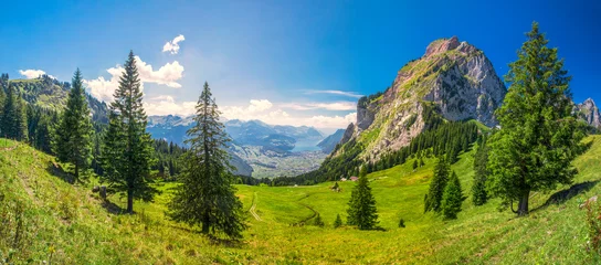 Foto op Plexiglas Mooie zomerse landschap van Zwitserland met Grosser Mythen berg en groene weiden, Ibergeregg, Zwitserland, Europa © Eva Bocek