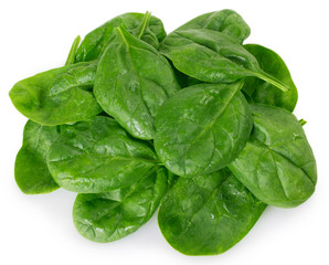 Fresh spinach on white background