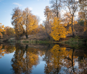Fototapeta na wymiar Beautiful autumn park, lit by the sun and the lake
