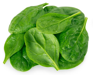 Obraz premium Fresh spinach on white background