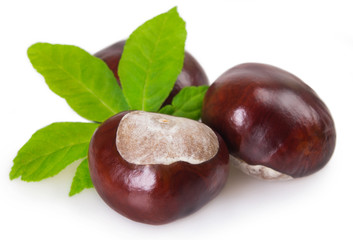 Fresh chestnut with leaf on white background
